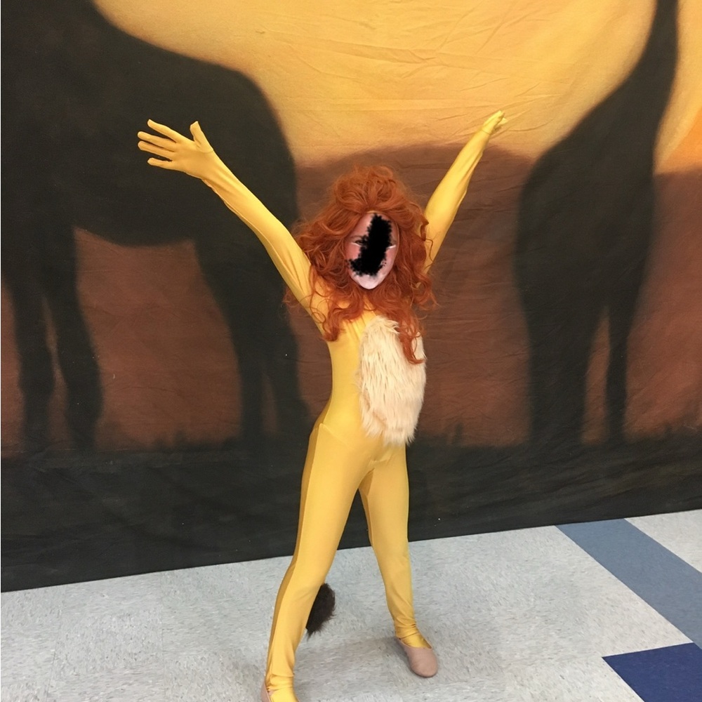 Lion King costume